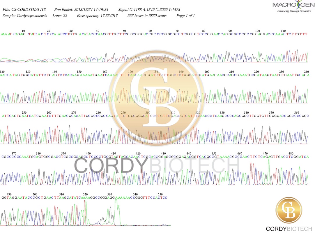 healthycordyceps_story_cordy-dna-2