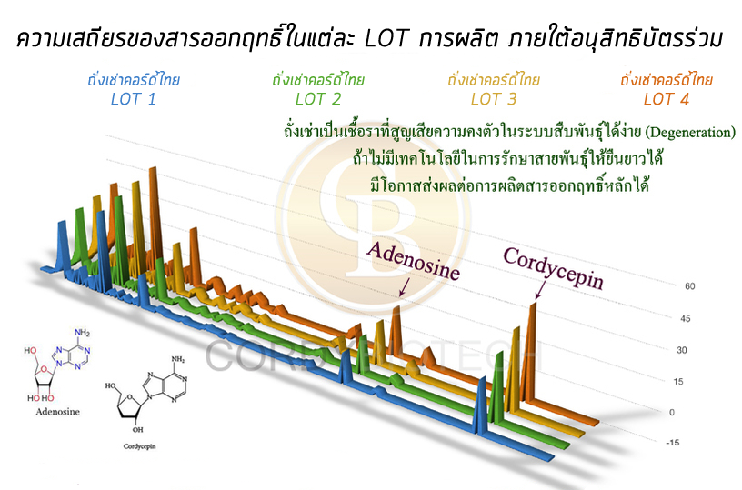 healthycordyceps_story_hplc