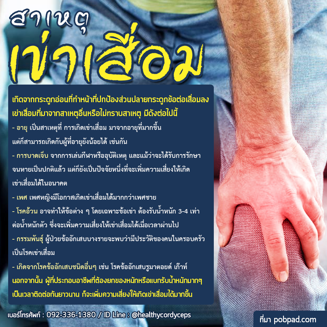 สาเหตุเข่าเสื่อม สาเหตุเข่าเสื่อม
