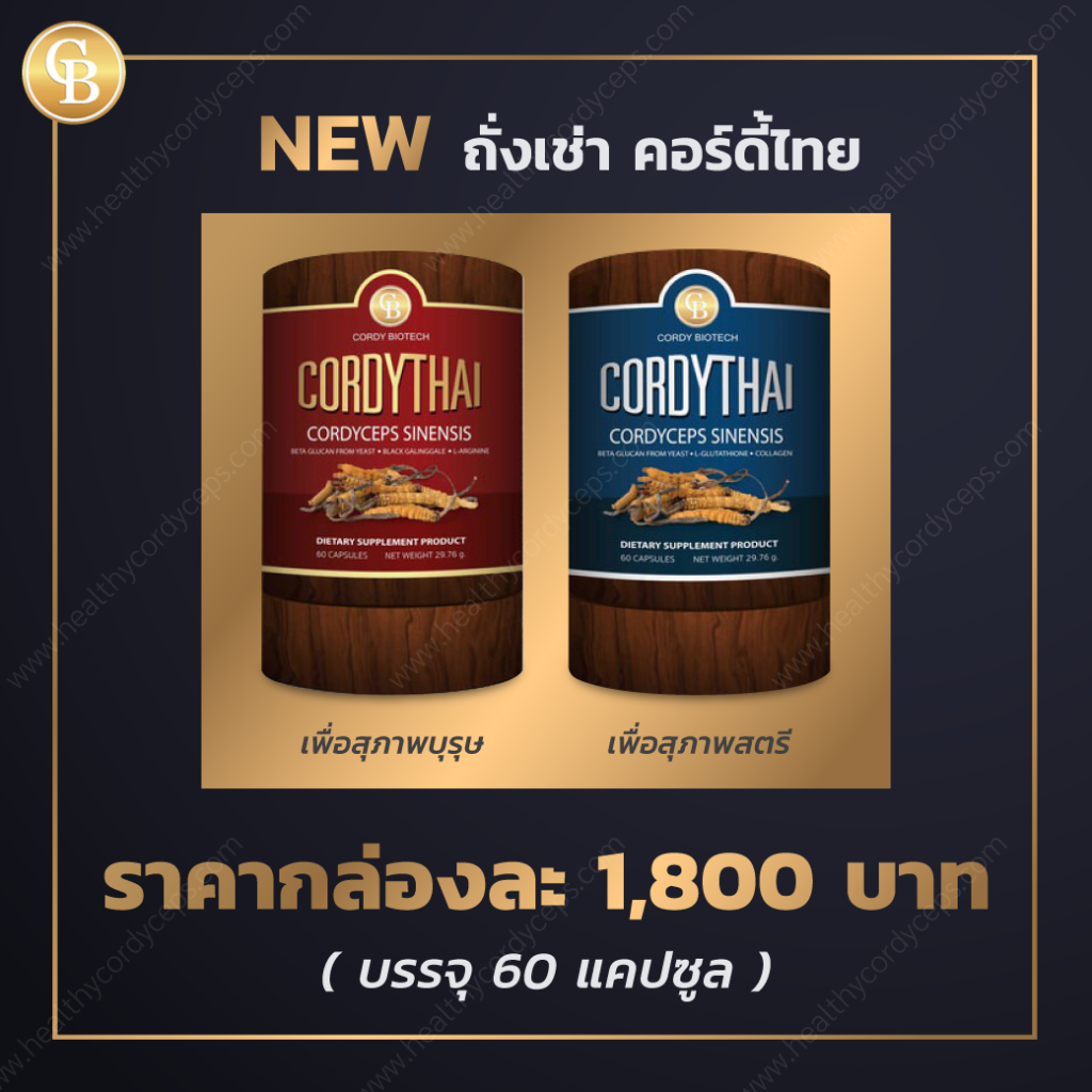 new_healthycordyceps_1