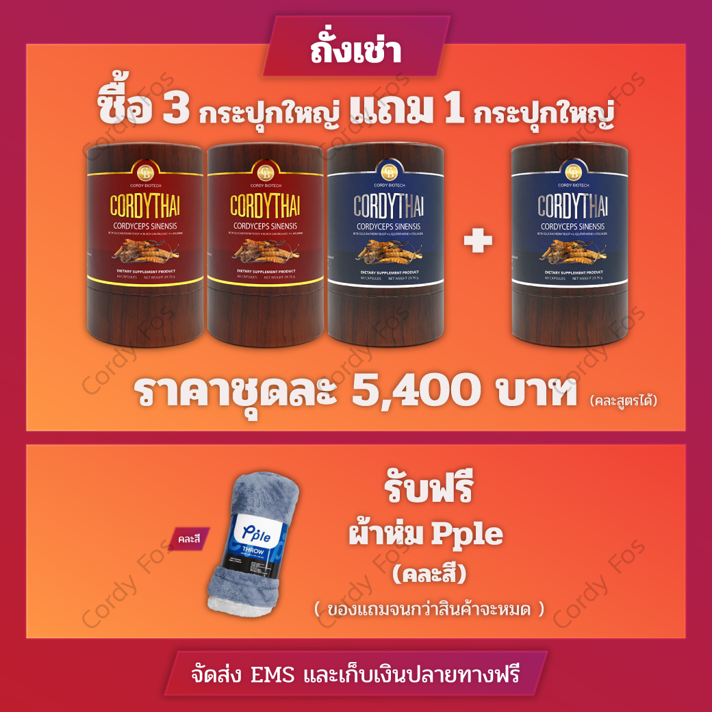 cordyfos_Promotion